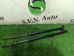 Амортизатор багажника (пара) NISSAN WINGROAD