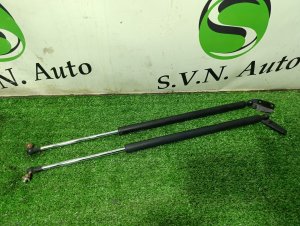 Амортизатор двери багажника (пара) NISSAN WINGROAD