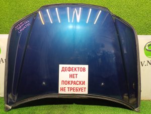 Капот color-T54 MITSUBISHI AIRTREK