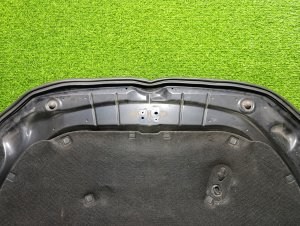 Капот VOLKSWAGEN POLO OEM 6R0823031G 6RCBZ 2009