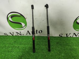 Амортизатор капота (пара) 25794896, 25794897 HUMMER H3