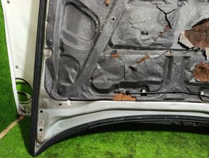 Капот HONDA ACCORD WAGON OEM 60100S0A000ZZ CF6 1998